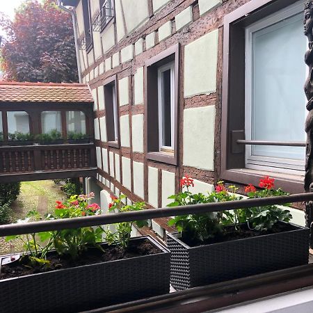 Apartament Quai Des Pecheurs - Vue Cathedrale Strasburg Zewnętrze zdjęcie
