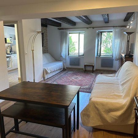 Apartament Quai Des Pecheurs - Vue Cathedrale Strasburg Zewnętrze zdjęcie