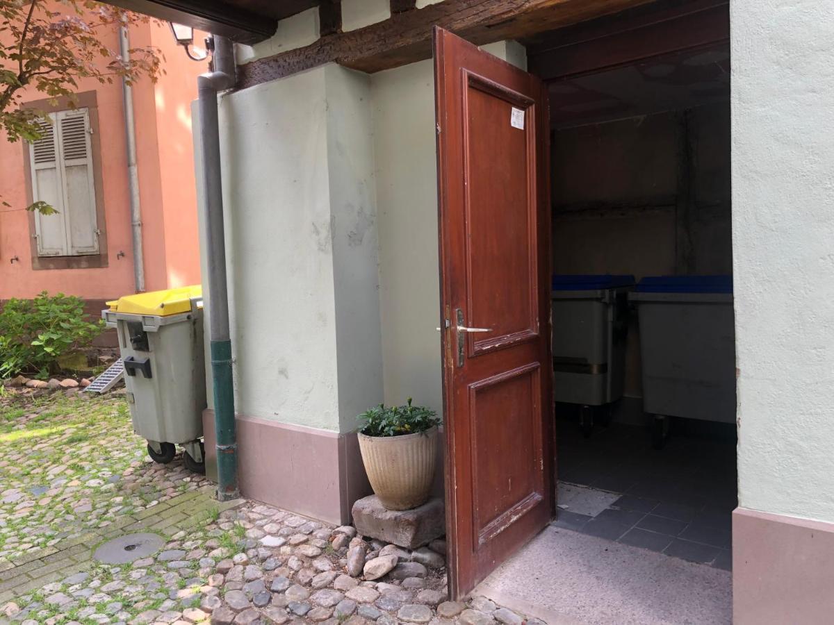Apartament Quai Des Pecheurs - Vue Cathedrale Strasburg Zewnętrze zdjęcie